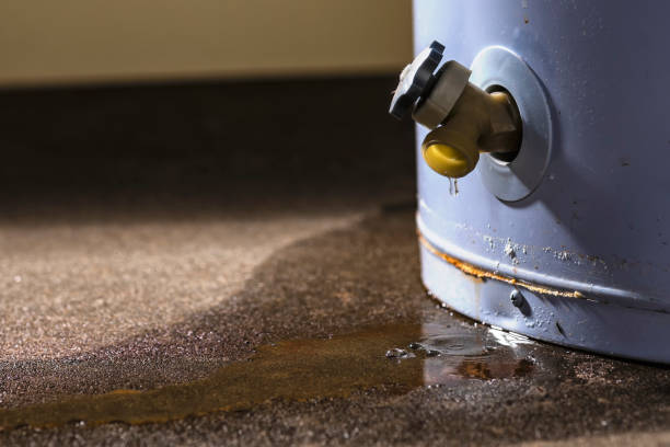 Best Water damage restoration experts  in Beloit, OH