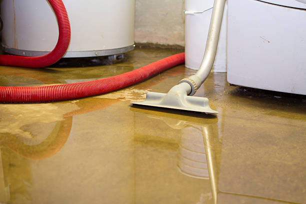 Best 24/7 water damage repair  in Beloit, OH