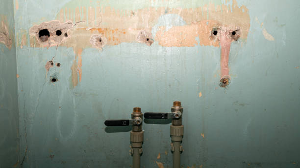 Best Ceiling water damage repair  in Beloit, OH